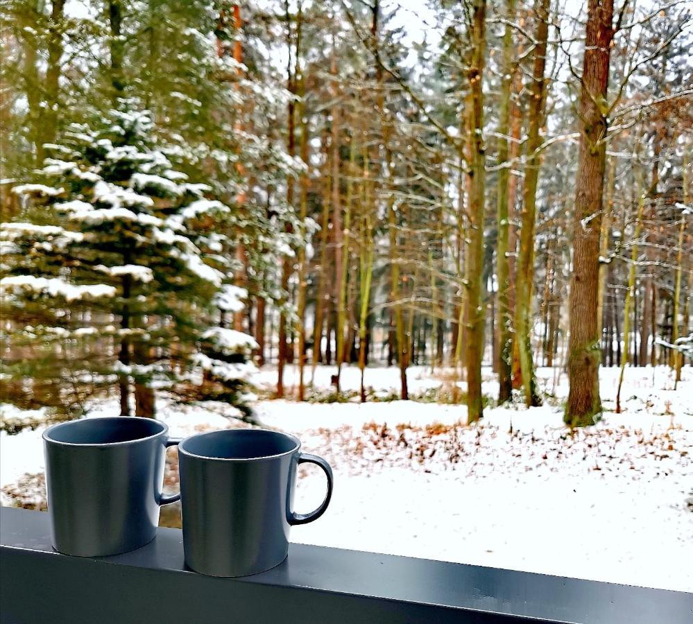 Apartament Z Widokiem Na Park Polanica-Zdrój Eksteriør billede
