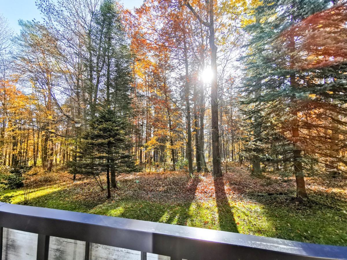 Apartament Z Widokiem Na Park Polanica-Zdrój Eksteriør billede