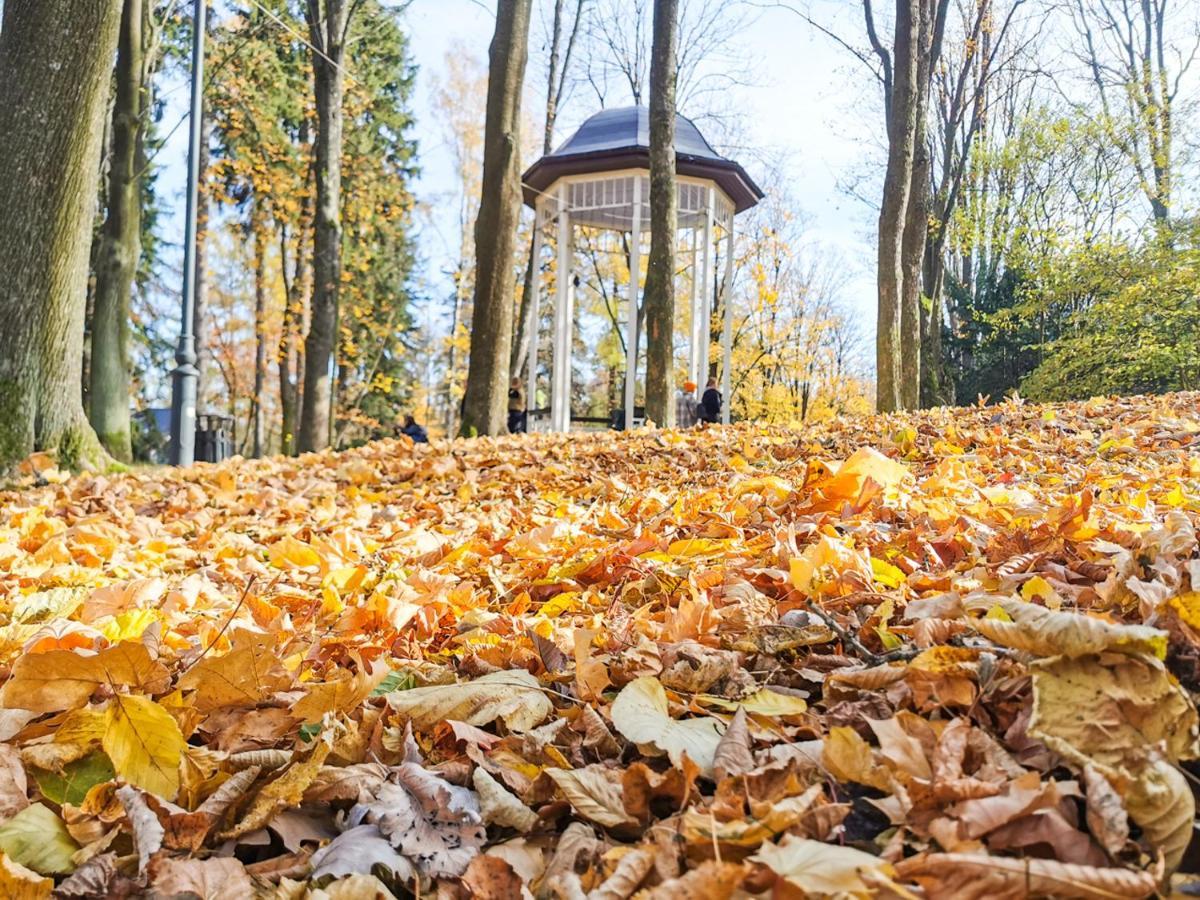Apartament Z Widokiem Na Park Polanica-Zdrój Eksteriør billede