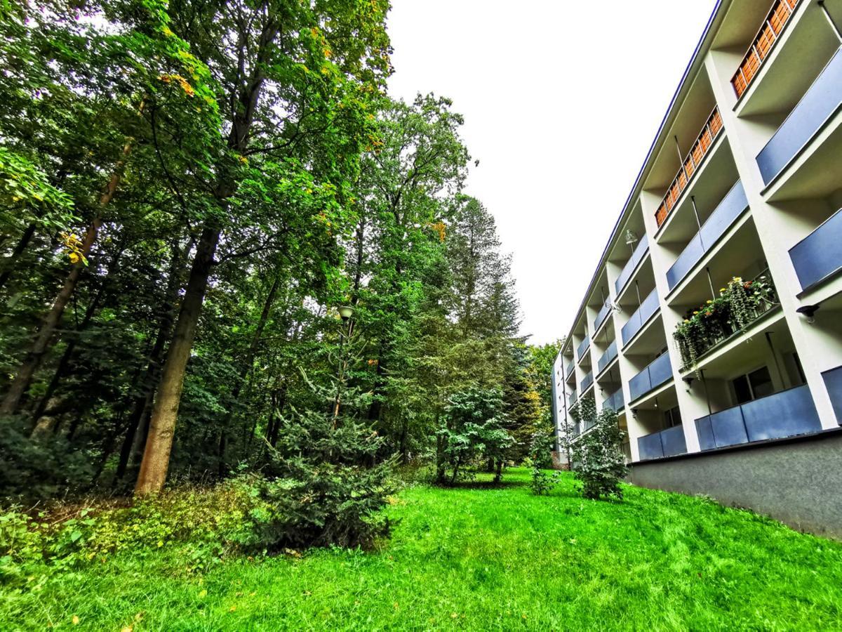 Apartament Z Widokiem Na Park Polanica-Zdrój Eksteriør billede